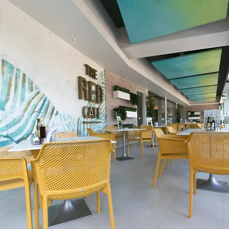 酒店 瑞德成人酒店 2*